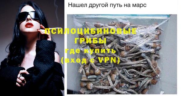 экстази Алексин